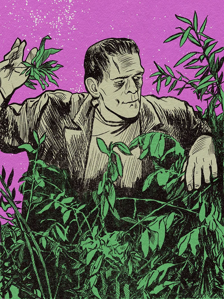 Illustration of Frankenstein's monster fighting through trees.